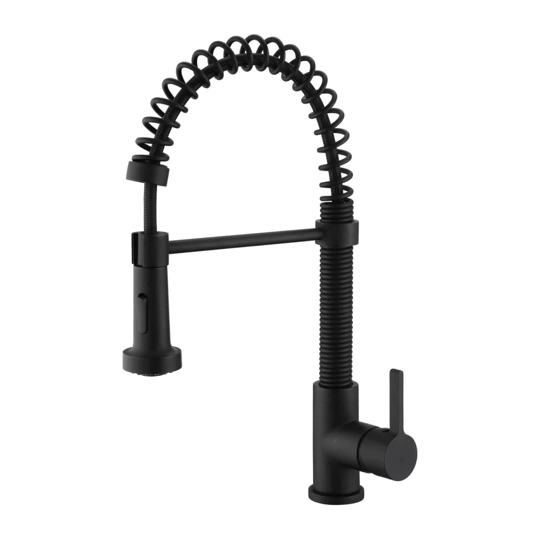 Kitchen Faucet 1