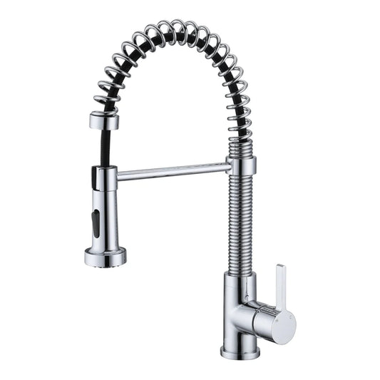 Kitchen Faucet 1